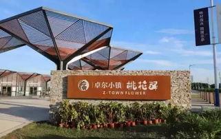 卓尔最新爆料桃花驿,桃花驿神秘面纱背后的传奇故事